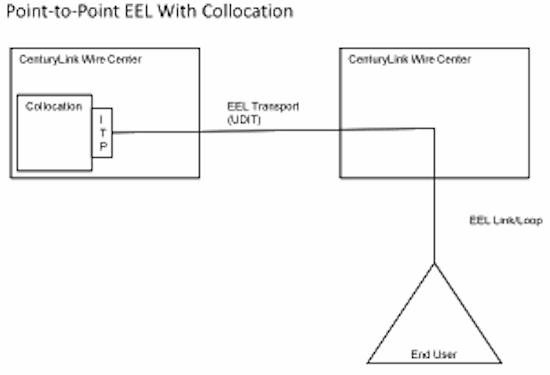 Eel Diagram